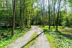 3583/87 SOUTHWOOD BEACH BOULEVARD | Washago Ontario | Slide Image Eight