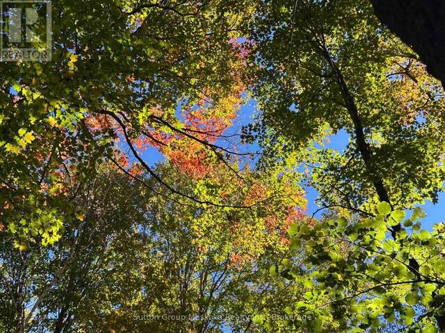 0 TALLY HO WINTER PARK ROAD Huntsville Ontario, P1H 2J3 - Vacant Land For Sale