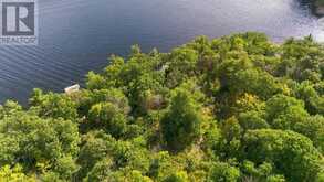 334 HEALEY LAKE | Carling Ontario | Slide Image Thirty-two