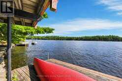 334 HEALEY LAKE | Carling Ontario | Slide Image Thirty-nine