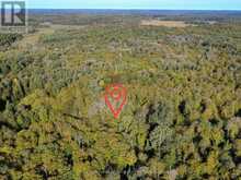 0 FERN GLEN ROAD | McMurrich/Monteith Ontario | Slide Image Five