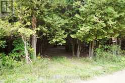 PT LT 48-50 CRAWFORD ROAD | Chatsworth Ontario | Slide Image Ten