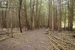 PT LT 48-50 CRAWFORD ROAD | Chatsworth Ontario | Slide Image Sixteen
