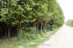 PT LT 48-50 CRAWFORD ROAD | Chatsworth Ontario | Slide Image Nine