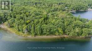 45 ISLAND 65C | Carling Ontario | Slide Image Three