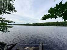 220 EAST WHALLEY LAKE ROAD E | Magnetawan Ontario | Slide Image One