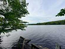 220 EAST WHALLEY LAKE ROAD E | Magnetawan Ontario | Slide Image Twenty-five