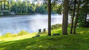 1053 ATKINS LAKE ROAD | Bracebridge Ontario | Slide Image Twenty-eight