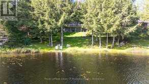 1053 ATKINS LAKE ROAD | Bracebridge Ontario | Slide Image Thirty