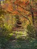 555796 6TH LINE | The Blue Mountains Ontario | Slide Image Seventeen