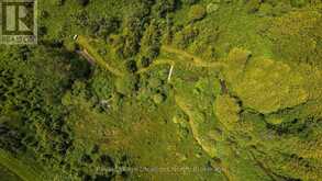 555796 6TH LINE | The Blue Mountains Ontario | Slide Image Forty-one