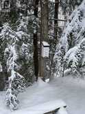 555796 6TH LINE | The Blue Mountains Ontario | Slide Image Forty-six