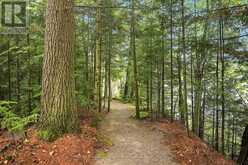 1018 CHICORY DRIVE | Haliburton Ontario | Slide Image Forty-six
