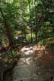 91 CHAPMAN'S LANDING ROAD | Nipissing Ontario | Slide Image Thirty-seven