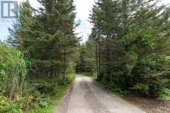 91 CHAPMAN'S LANDING ROAD | Nipissing Ontario | Slide Image Forty-seven