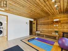 1110 TOM PARRIS TRAIL | Dwight Ontario | Slide Image Thirty-one