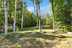 2612 WILKINSON ROAD | Haliburton Ontario | Slide Image Eleven