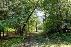 2612 WILKINSON ROAD | Haliburton Ontario | Slide Image Three