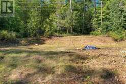 2612 WILKINSON ROAD | Haliburton Ontario | Slide Image Six