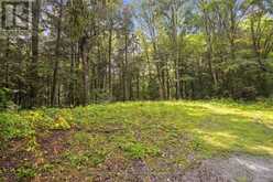 0 PADDY'S COURT | Haliburton Ontario | Slide Image Fifteen