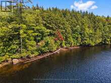 0 PADDY'S COURT | Haliburton Ontario | Slide Image Seventeen