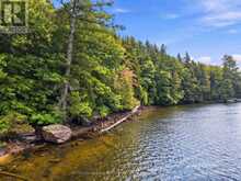 0 PADDY'S COURT | Haliburton Ontario | Slide Image Three