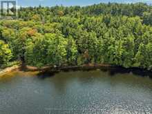 0 PADDY'S COURT | Haliburton Ontario | Slide Image Five