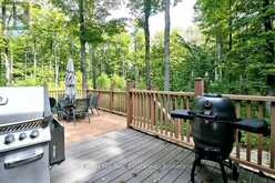 495595 VETERANS ROAD S | Chatsworth Ontario | Slide Image Twenty-two