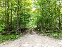 495595 VETERANS ROAD S | Chatsworth Ontario | Slide Image Three
