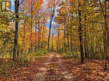 495595 VETERANS ROAD S | Chatsworth Ontario | Slide Image Three