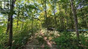 PT LT 10 CON 7 BRUCE ROAD 6E ROAD | South Bruce Ontario | Slide Image Ten