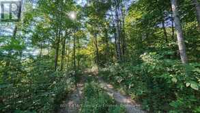 PT LT 10 CON 7 BRUCE ROAD 6E ROAD | South Bruce Ontario | Slide Image Nine