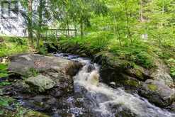 848 CLEARWATER LAKE ROAD | Huntsville Ontario | Slide Image Nineteen