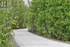 208554 26 HIGHWAY | The Blue Mountains Ontario | Slide Image Thirty-three