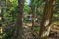 208554 26 HIGHWAY | The Blue Mountains Ontario | Slide Image Thirty-seven