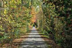 208554 26 HIGHWAY | The Blue Mountains Ontario | Slide Image Thirty-eight