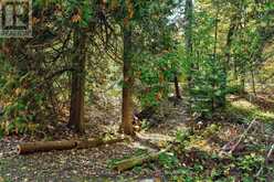 208554 26 HIGHWAY | The Blue Mountains Ontario | Slide Image Thirty-nine