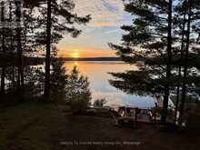 1335 BRAELOCH ROAD | Haliburton Ontario | Slide Image Forty-nine