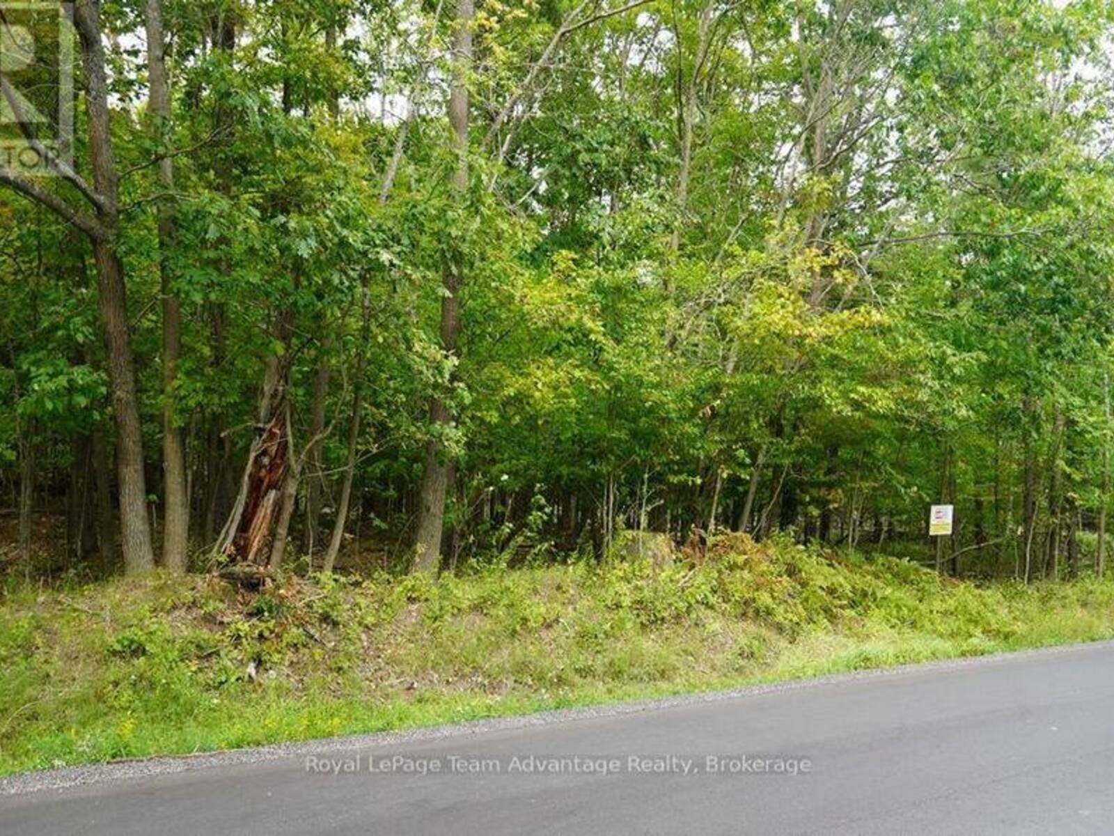99 CARLING BAY ROAD E, Carling, Ontario P0G 1G0