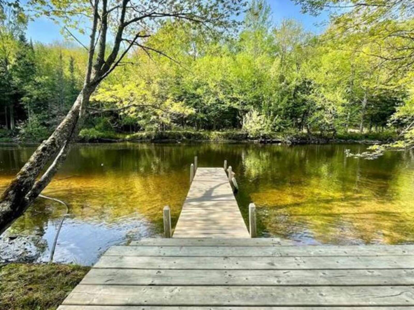 29 HORSESHOE LANE, Perry, Ontario P0A 1J0