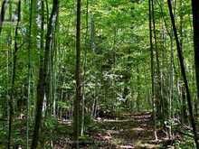 PT LT 4 CONC. RD 6 CONCESSION | Meaford Ontario | Slide Image Nine