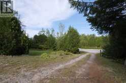 1477 HIGHWAY 6 HIGHWAY | Georgian Bluffs Ontario | Slide Image Forty-two