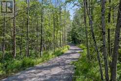 1054 BRYDONS BAY ROAD | Gravenhurst Ontario | Slide Image Forty-five
