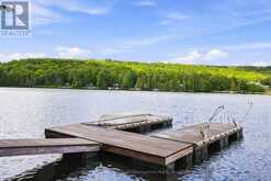 1022 TANAMAKOON LANE | Haliburton Ontario | Slide Image Forty