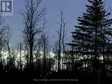 1-372 GREY ROAD 21 ROAD | The Blue Mountains Ontario | Slide Image Seventeen