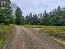 335 WOODLAND DRIVE | The North Shore Ontario | Slide Image Two