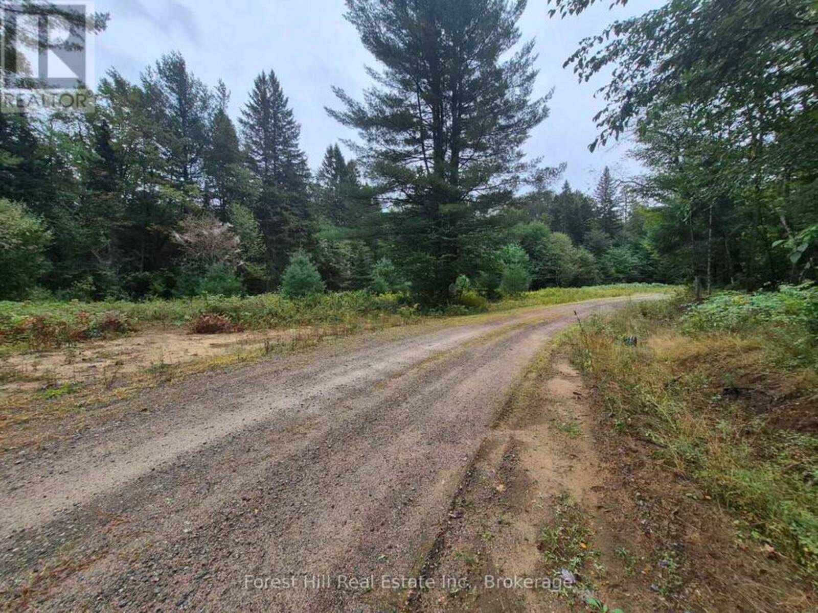 335 WOODLAND DRIVE, The North Shore, Ontario P0P 1B0