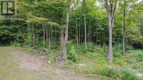 200185 SIDEROAD 10 | Shallow Lake Ontario | Slide Image Forty-one