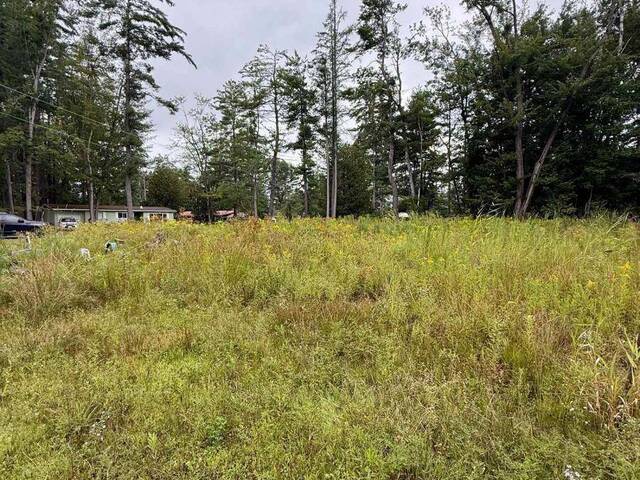 1004 CHIPPAWA AVENUE Gravenhurst Ontario, P1P 1R1 - Waterfront Land For Sale
