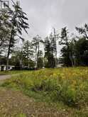 1004 CHIPPAWA AVENUE | Gravenhurst Ontario | Slide Image Six